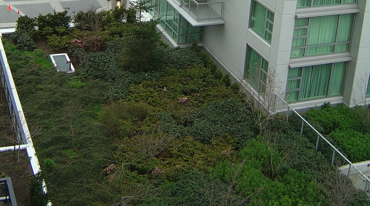 Florida lagging on development of green roofs