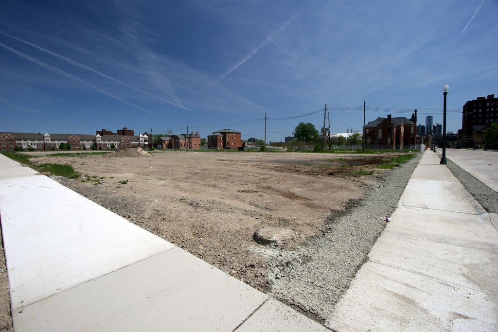 Detroit plans massive effort to convert vacant properties to green spaces