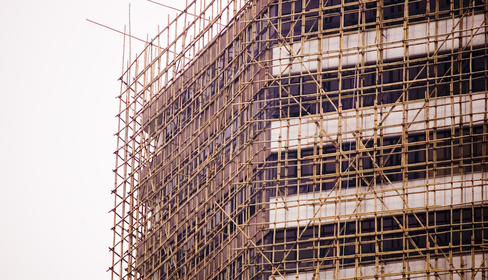 Industry leaders call for wider use of bamboo as a building material