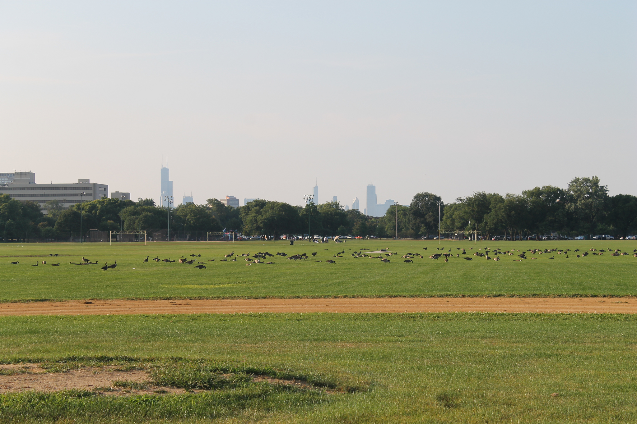 Seven finalists named in Barack Obama Presidential Center design search