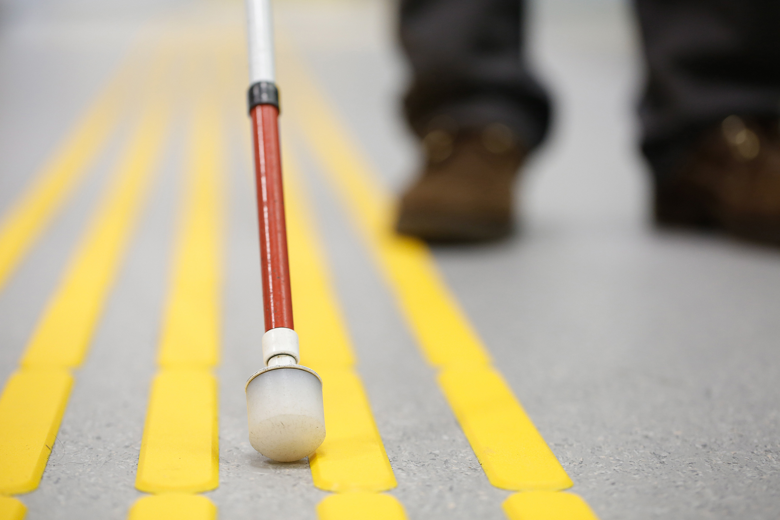 Walking stick on road