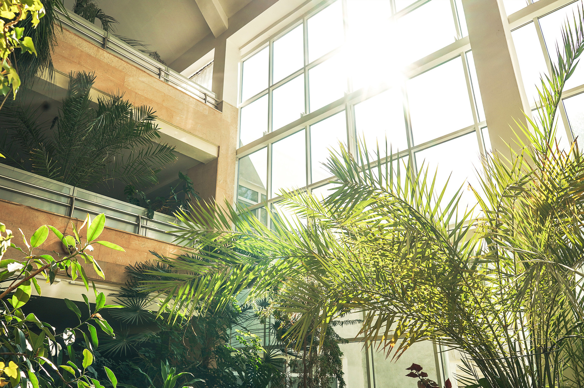 Building interior with many plants and daylight