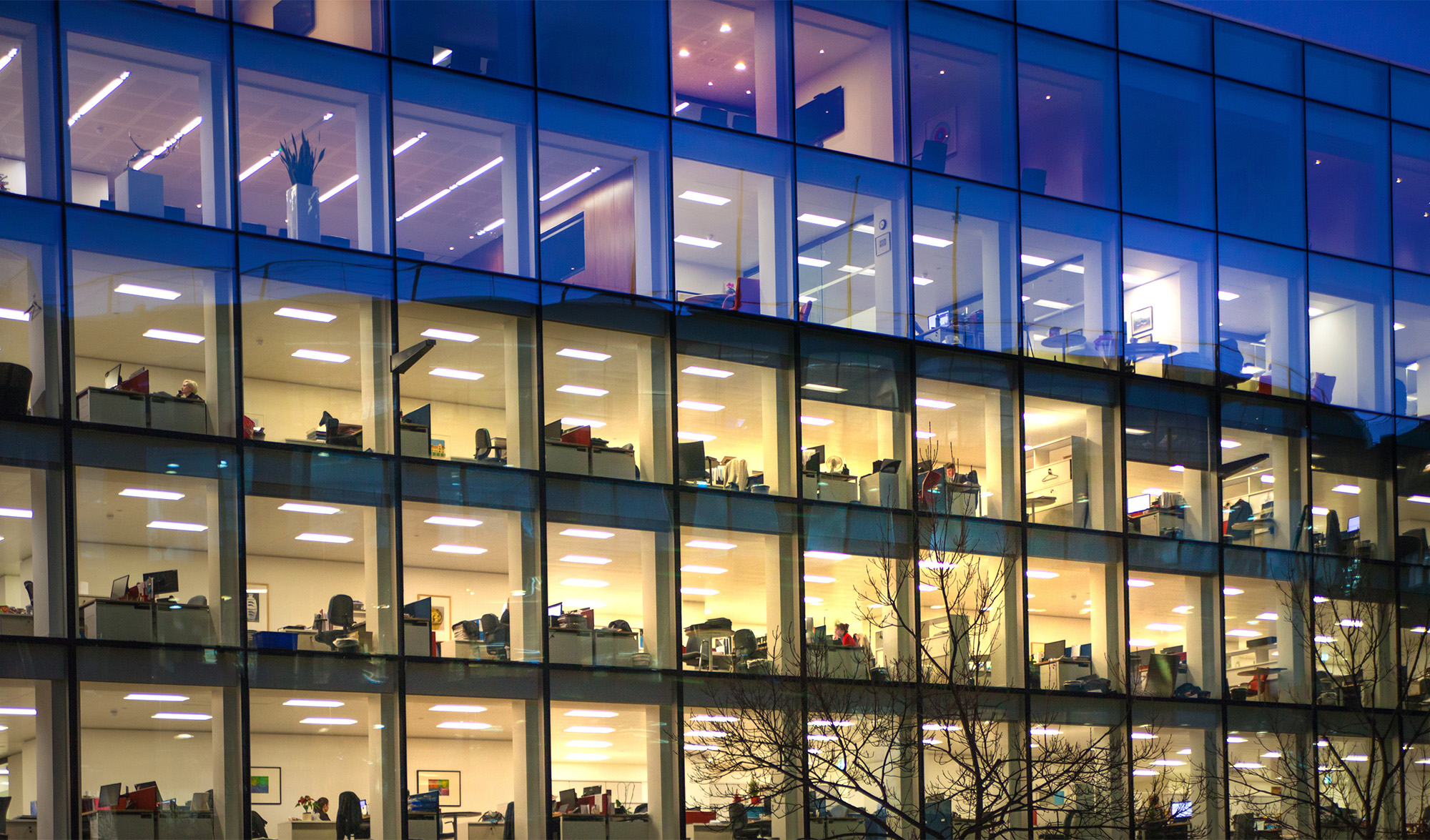 Office building windows at night