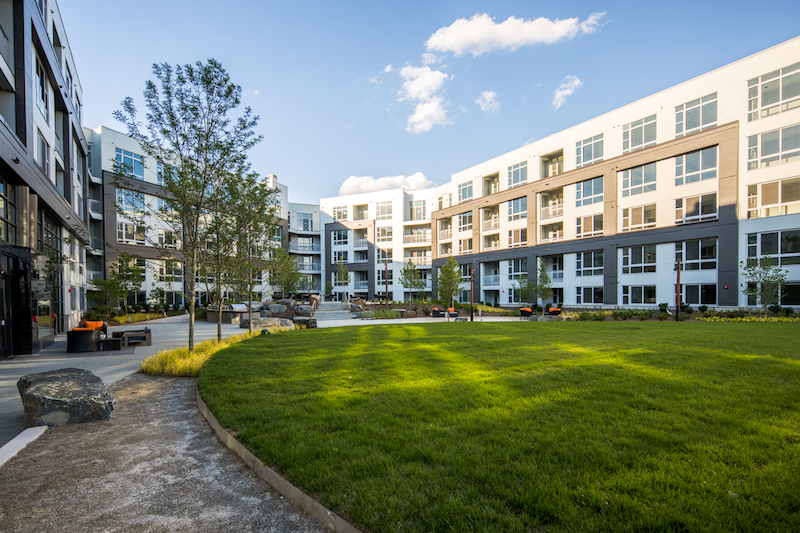 The outdoor lawn space at Anthem House