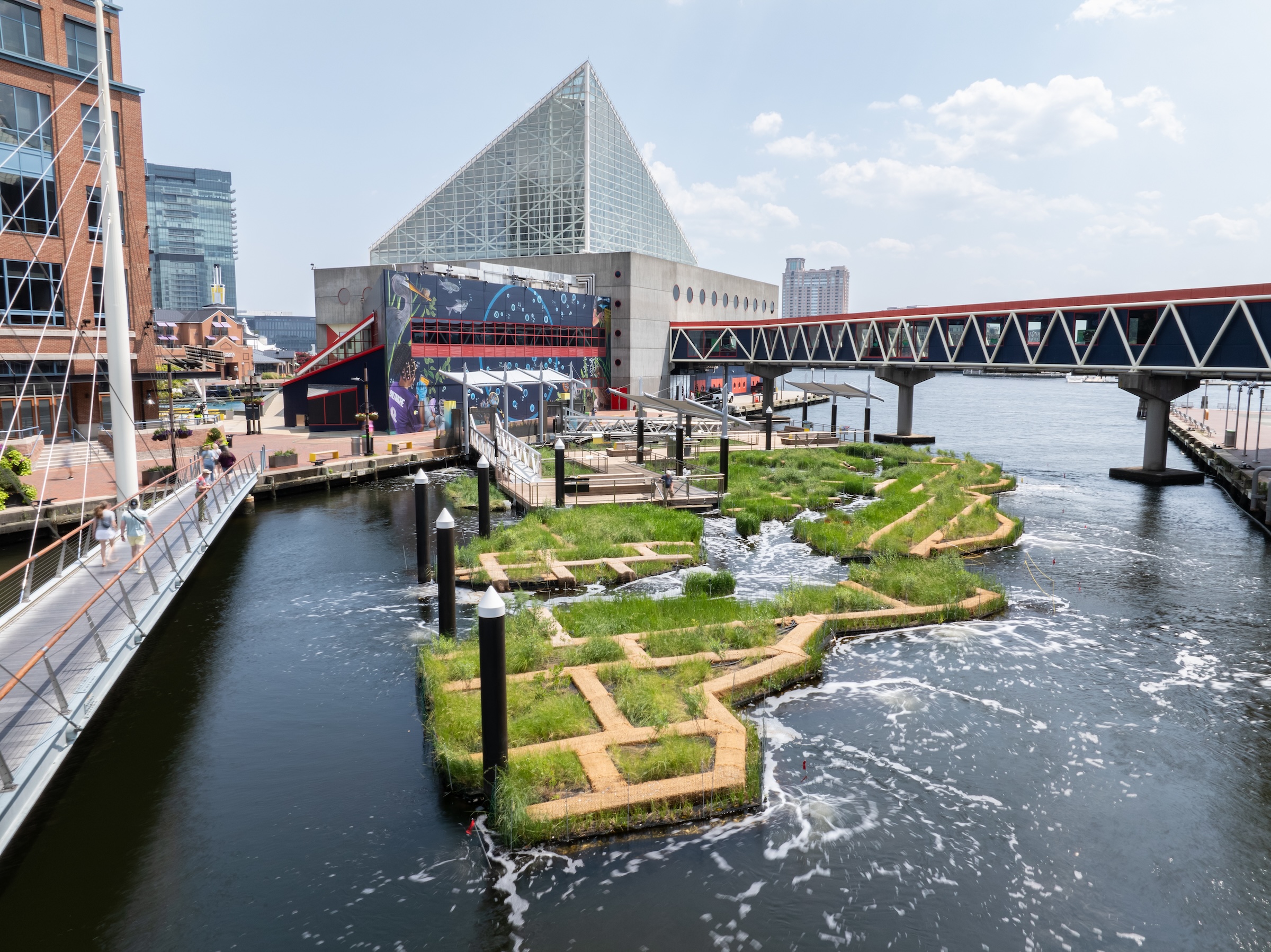 Baltimore’s National Aquarium opens 10,000-sf floating wetland that mimics the harbor’s original tidal marsh habitat, Photo: Philip Smith, National Aquarium