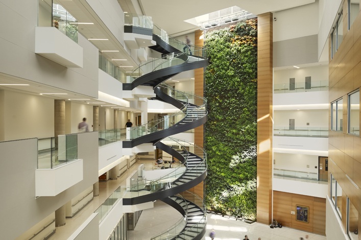 The 1,460-sf green wall at the Papadakis Integrated Science Building, Drexel Uni