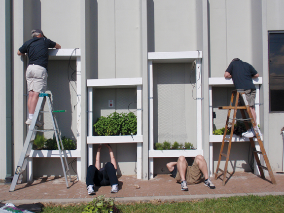 HMC volunteers install planters in a vertical garden wall at the Second Harvest 