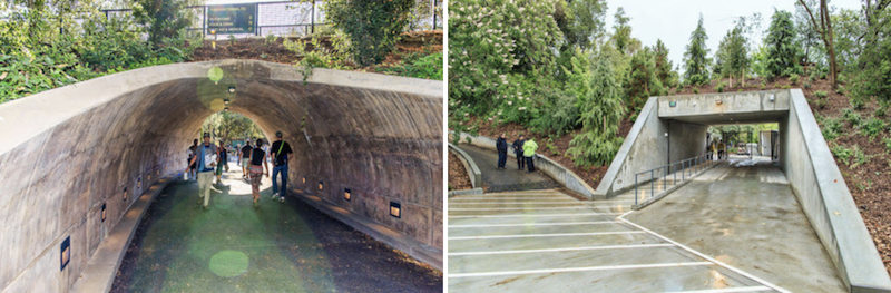 Frost Amphitheater Curved Tunnels