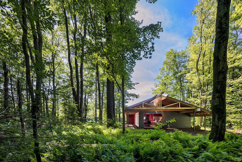 High meadow studio in the forest