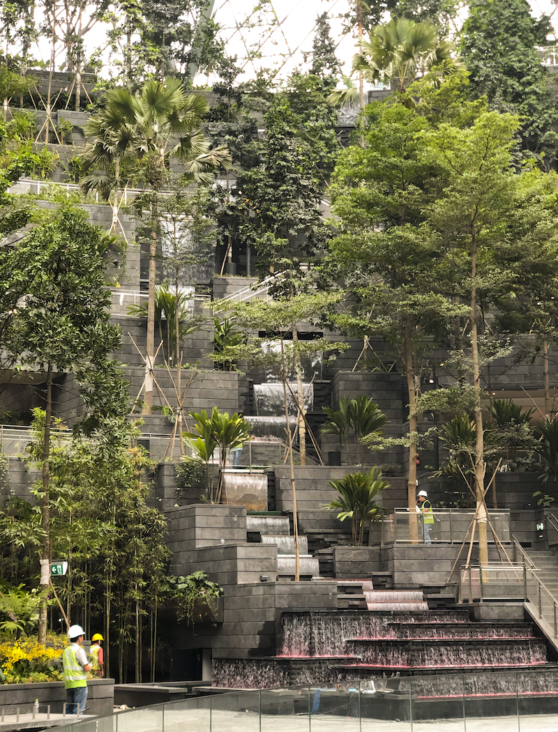 Interior garden space in the Jewel