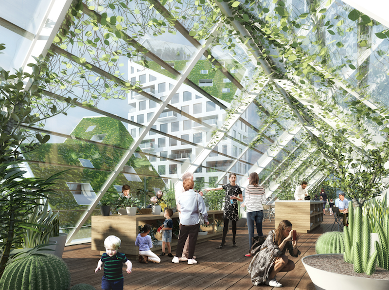 Rendering of the interior of a rooftop greenhouse at Nieuw Bergen from MVRDV