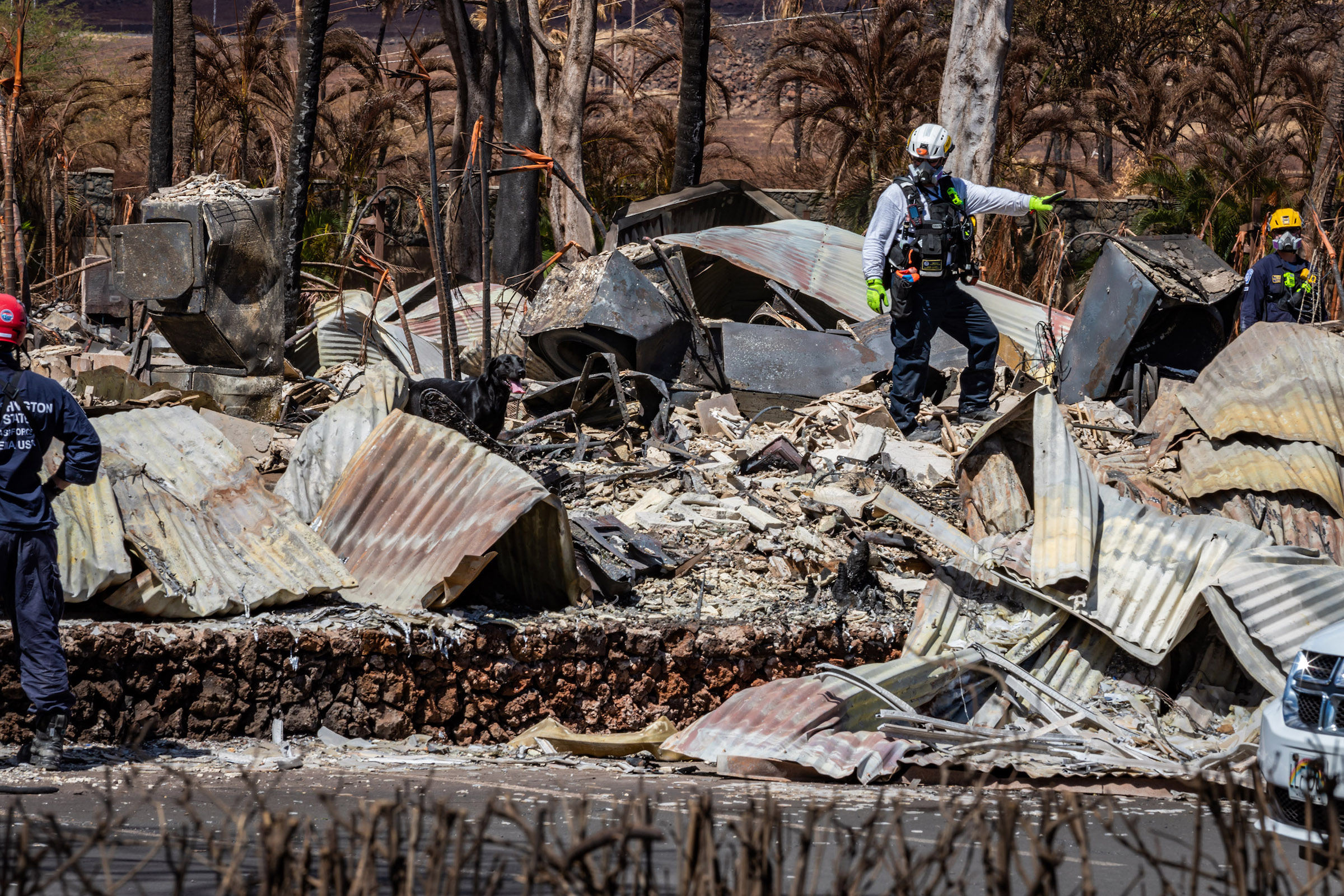 Modern codes, construction techniques saved structures in Maui wildfire - Photo: Army National Guard Staff Sgt. Matthew A. Foster, Department of Defense 