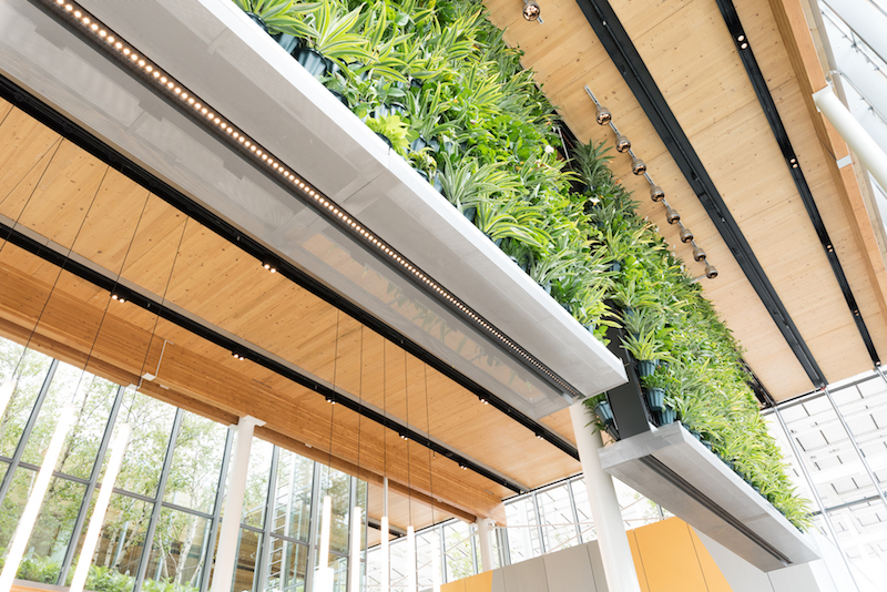 Living wall in McDonald's flagship