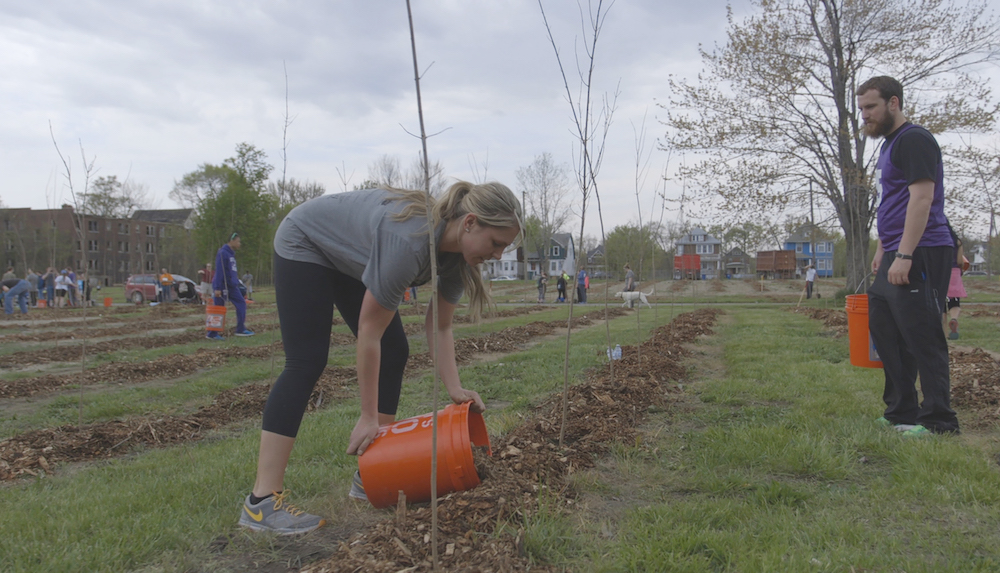 Hantz Woodlands brings thousands of trees to hard-pressed Detroit neighborhoods