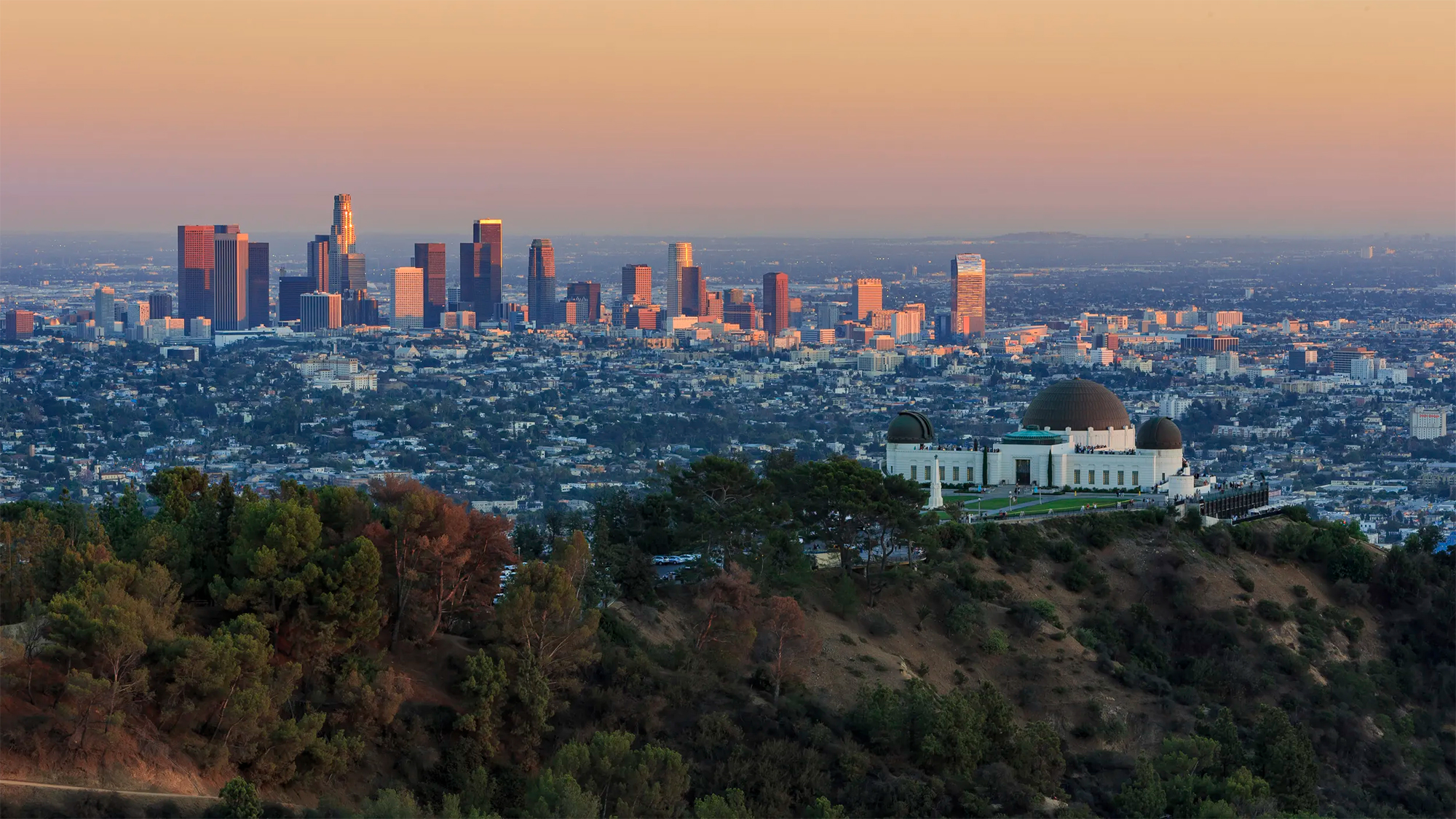 Los Angeles Skyline