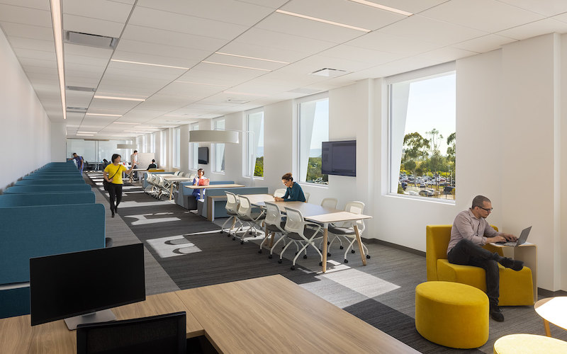 School of Medicine collaborative space