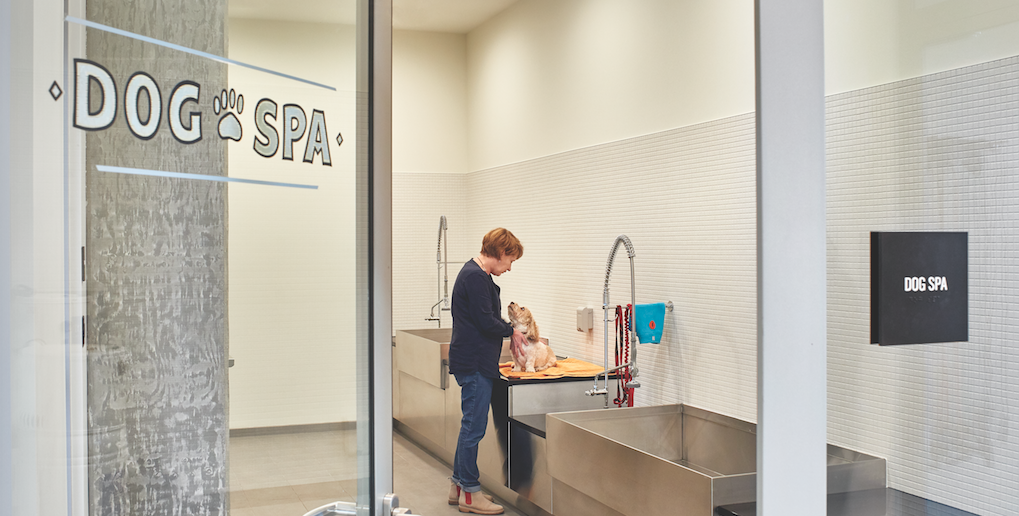 The 240-sf dog spa at Seattle’s AMLI Arc apartment tower, photo by Benjamin Benschneider