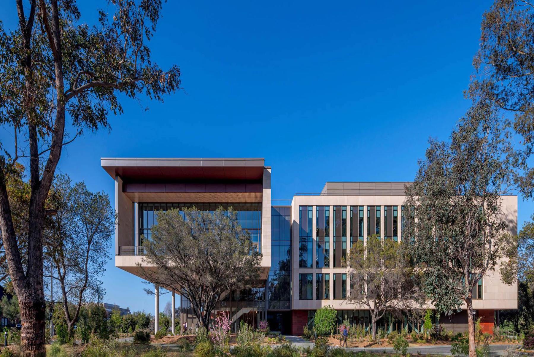 Stanford School of Medicine Center ext