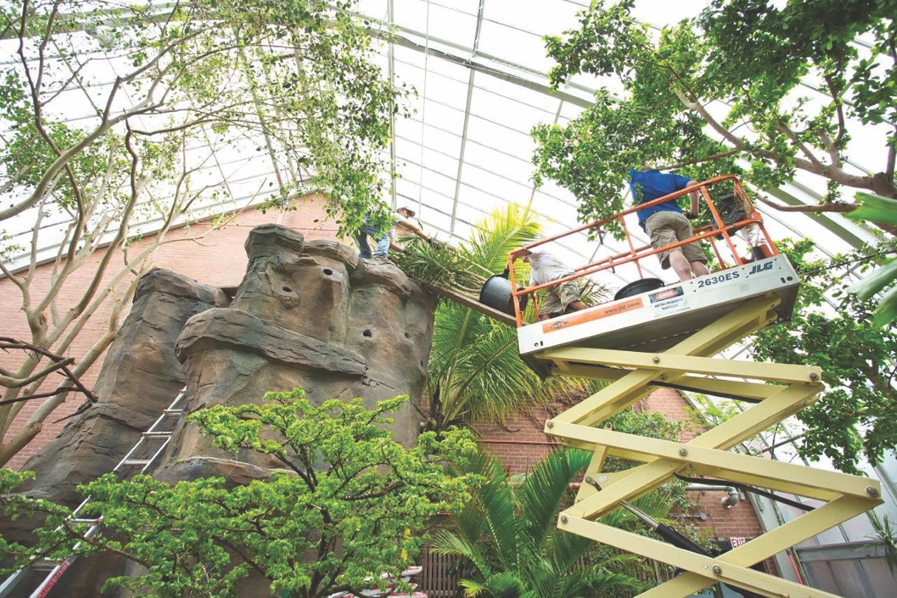 Bird-friendly starphire ultra-clear class in an aviary