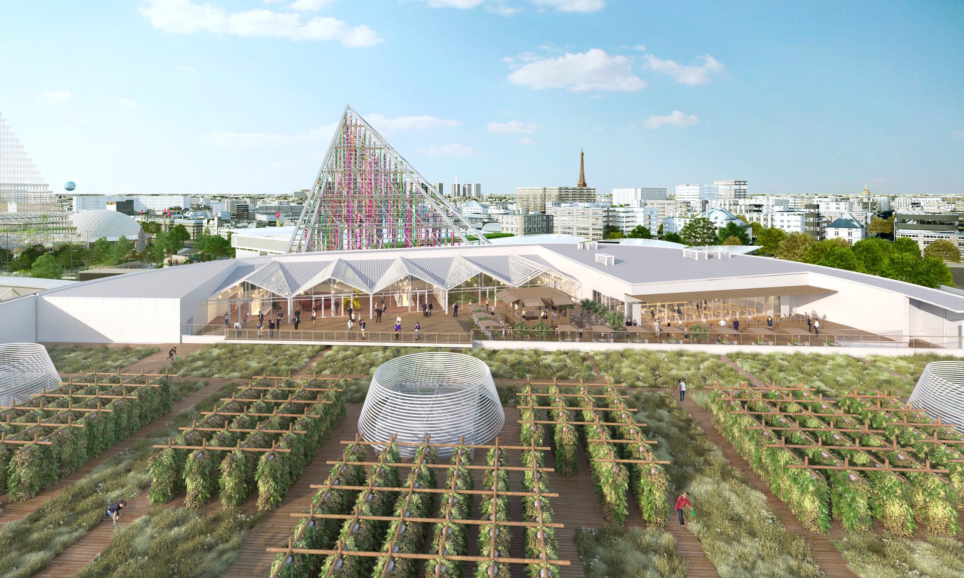 Agripolis rooftop urban farm