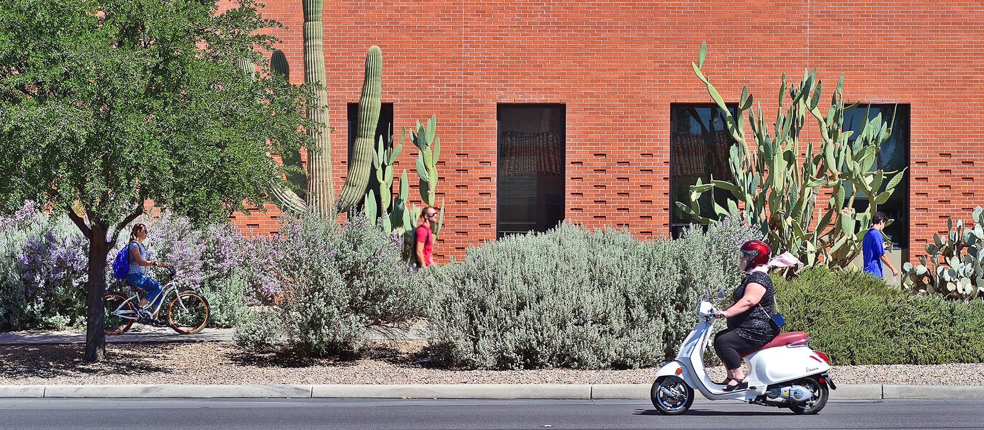 Highland District Housing, University of Arizona