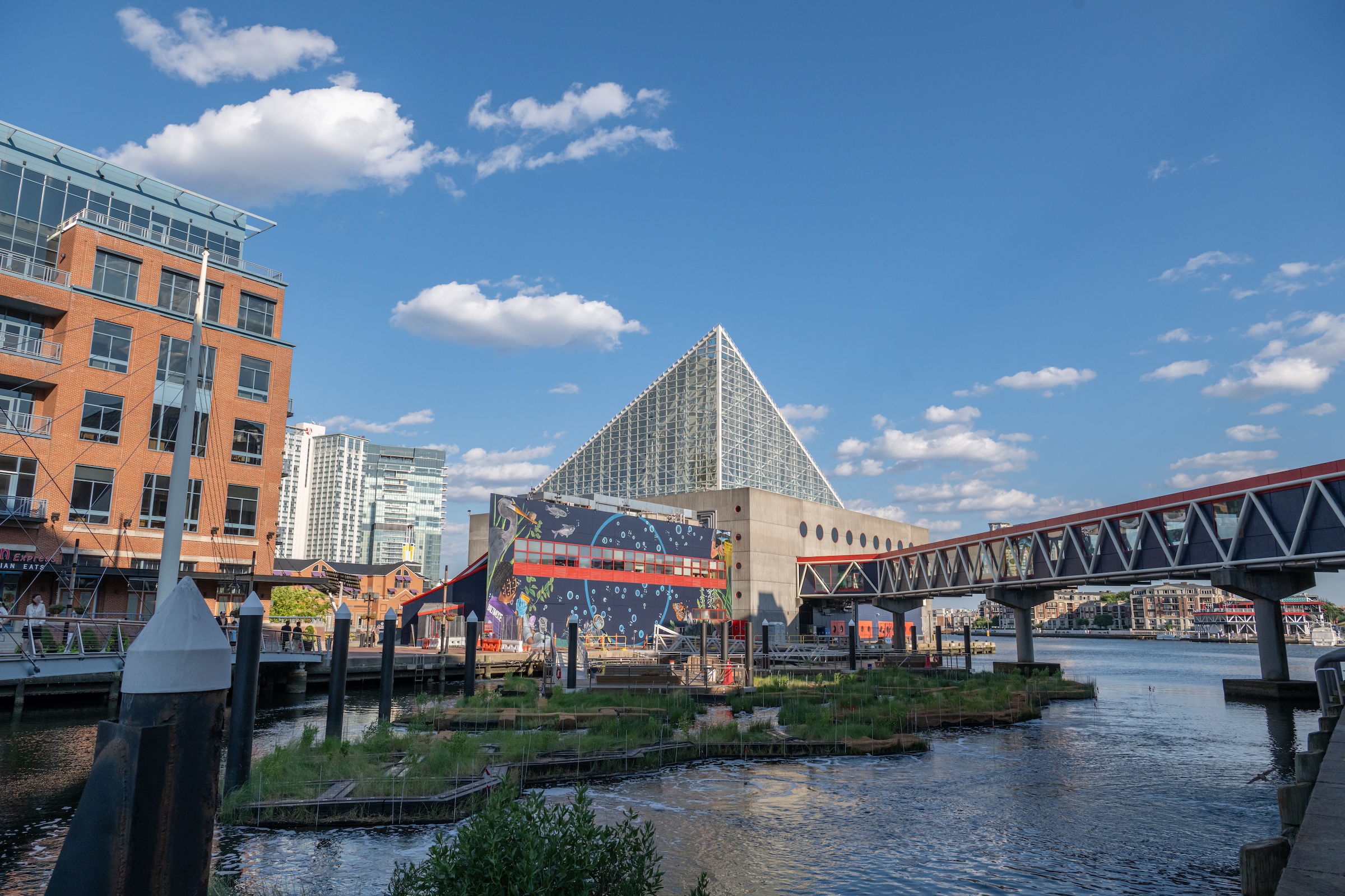 Photo: Philip Smith, National Aquarium