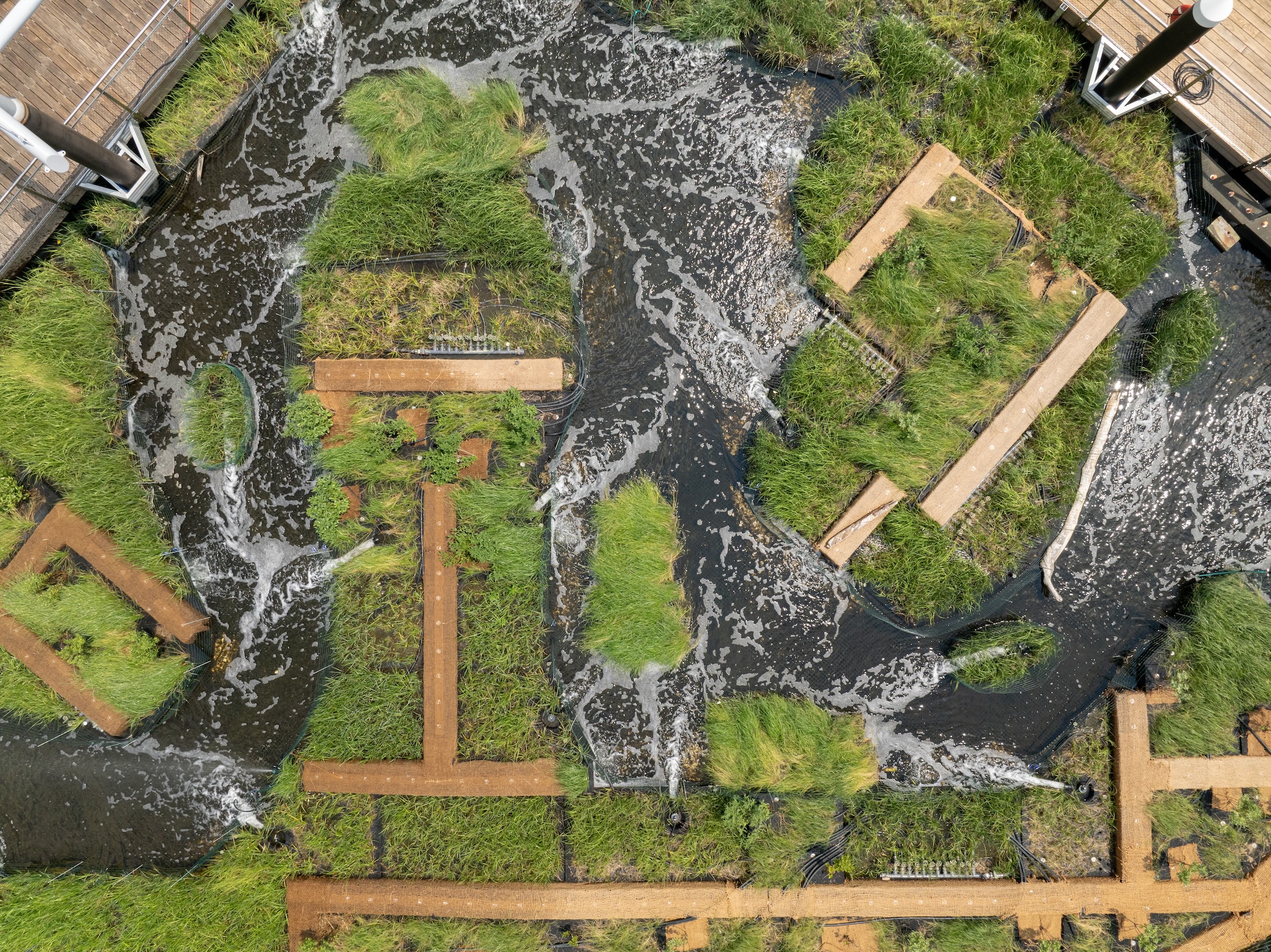 Baltimore’s National Aquarium opens 10,000-sf floating wetland that mimics the harbor’s original tidal marsh habitat. Photo: Philip Smith, National Aquarium