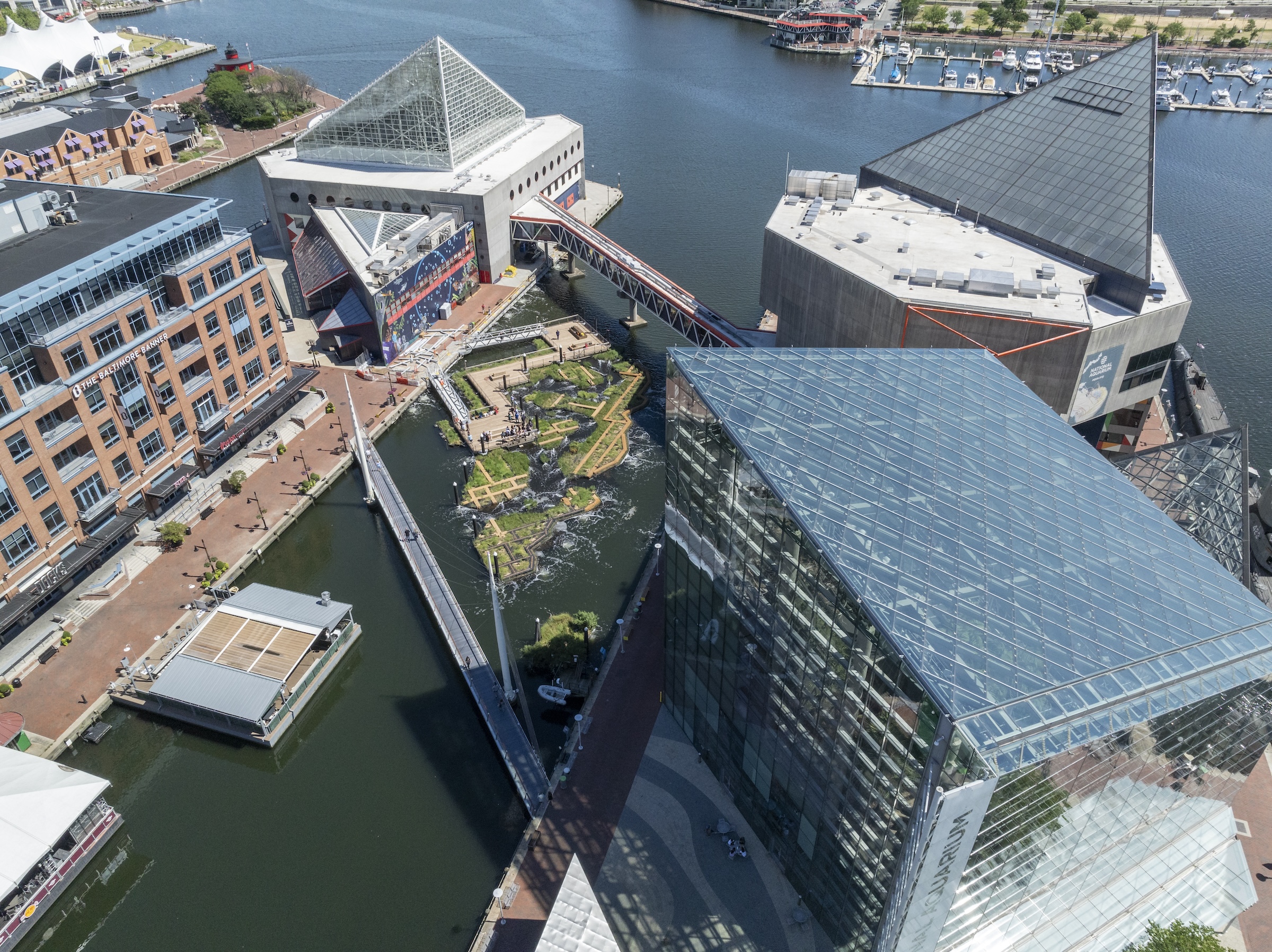 Baltimore’s National Aquarium opens 10,000-sf floating wetland that mimics the harbor’s original tidal marsh habitat. Photo: Philip Smith, National Aquarium