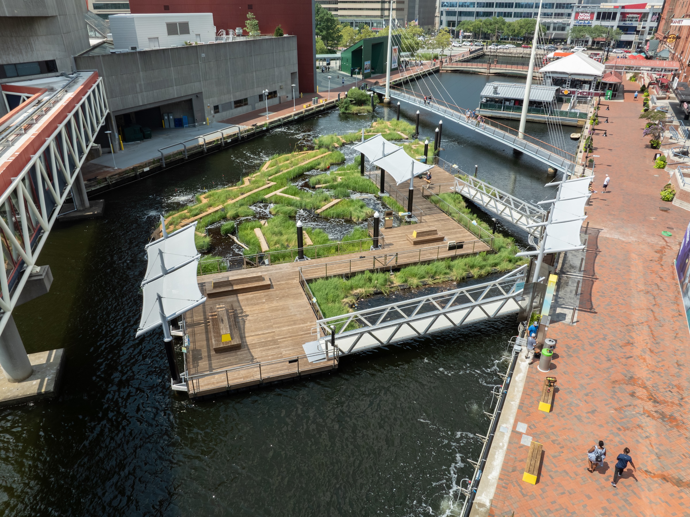 Baltimore’s National Aquarium opens 10,000-sf floating wetland that mimics the harbor’s original tidal marsh habitat. Photo: Philip Smith, National Aquarium