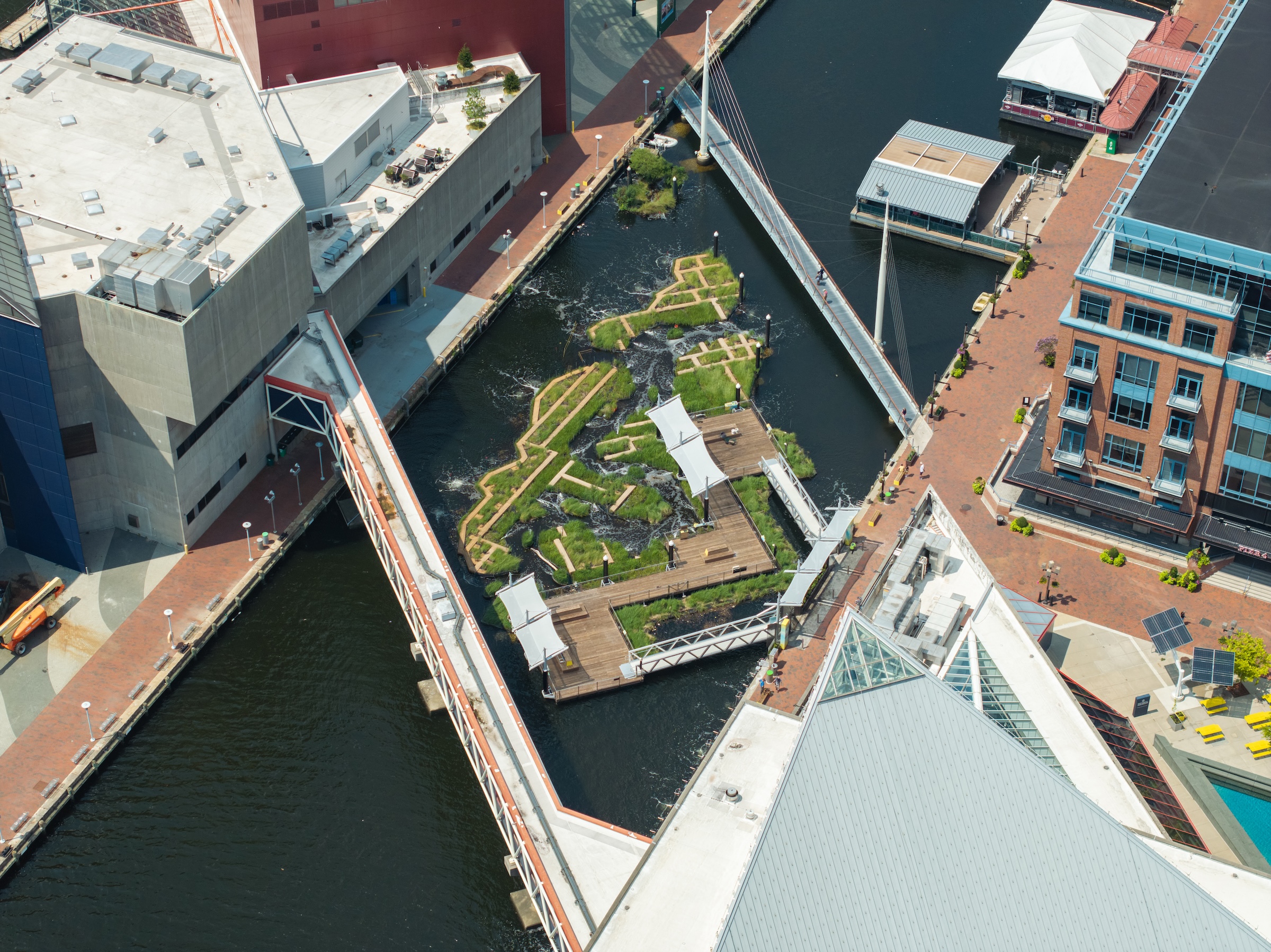 Baltimore’s National Aquarium opens 10,000-sf floating wetland that mimics the harbor’s original tidal marsh habitat. Photo: Philip Smith, National Aquarium