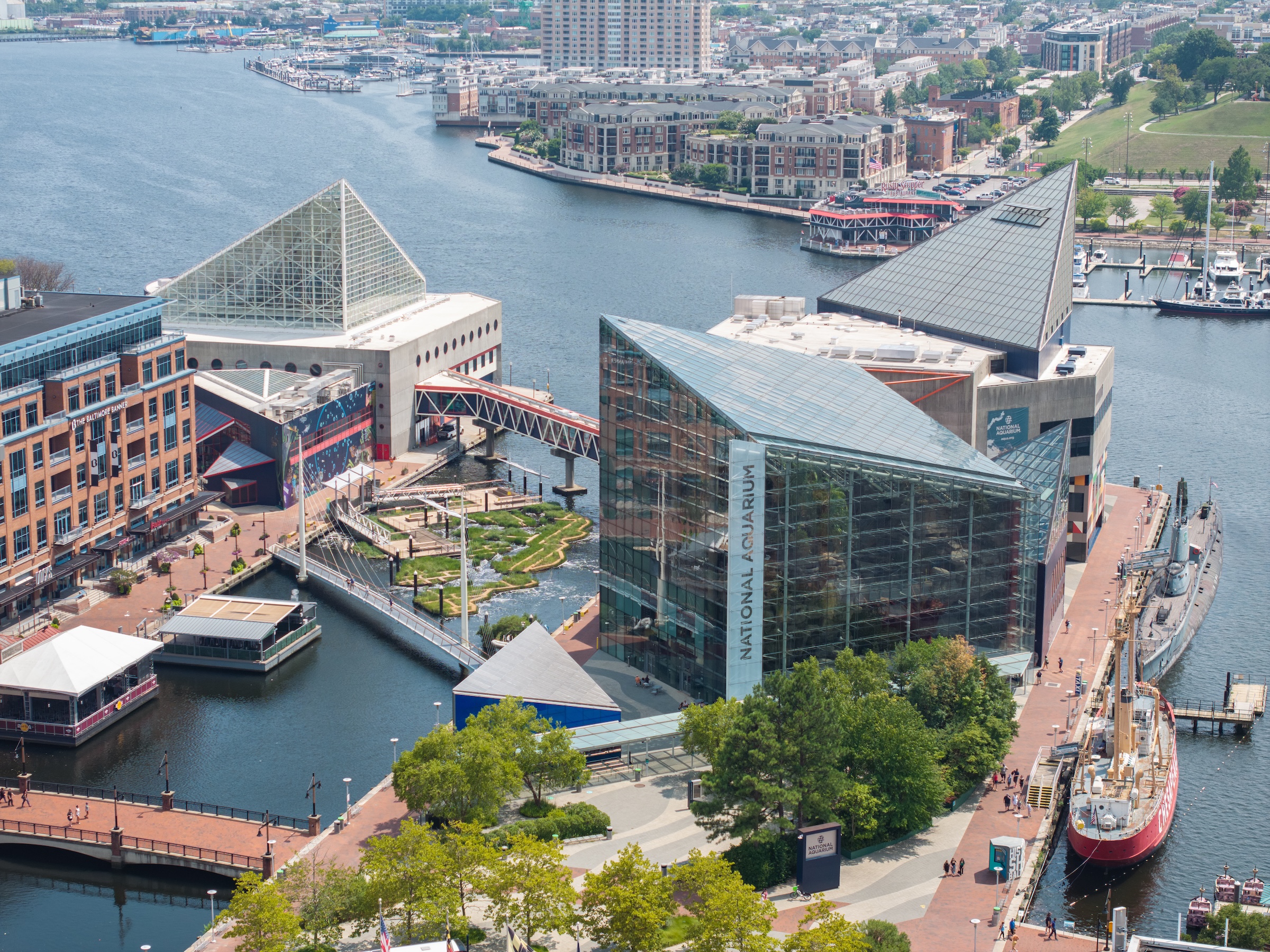 Baltimore’s National Aquarium opens 10,000-sf floating wetland that mimics the harbor’s original tidal marsh habitat. Photo: Philip Smith, National Aquarium