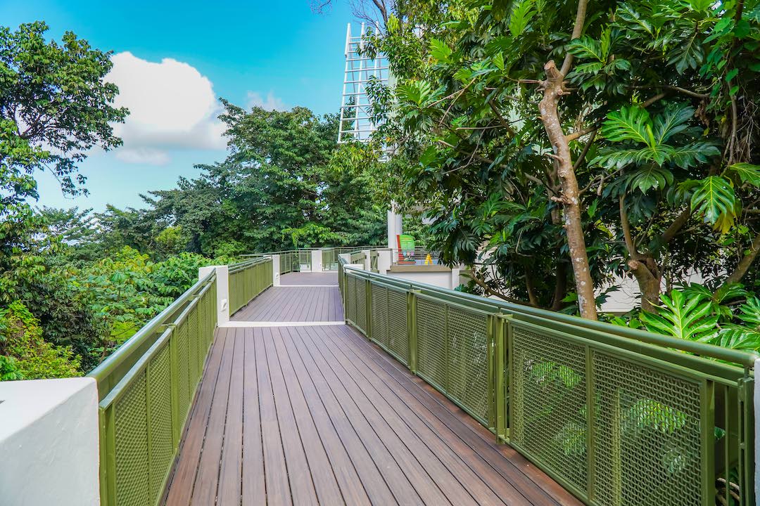 El Yunque Visitor’s Center exterior path