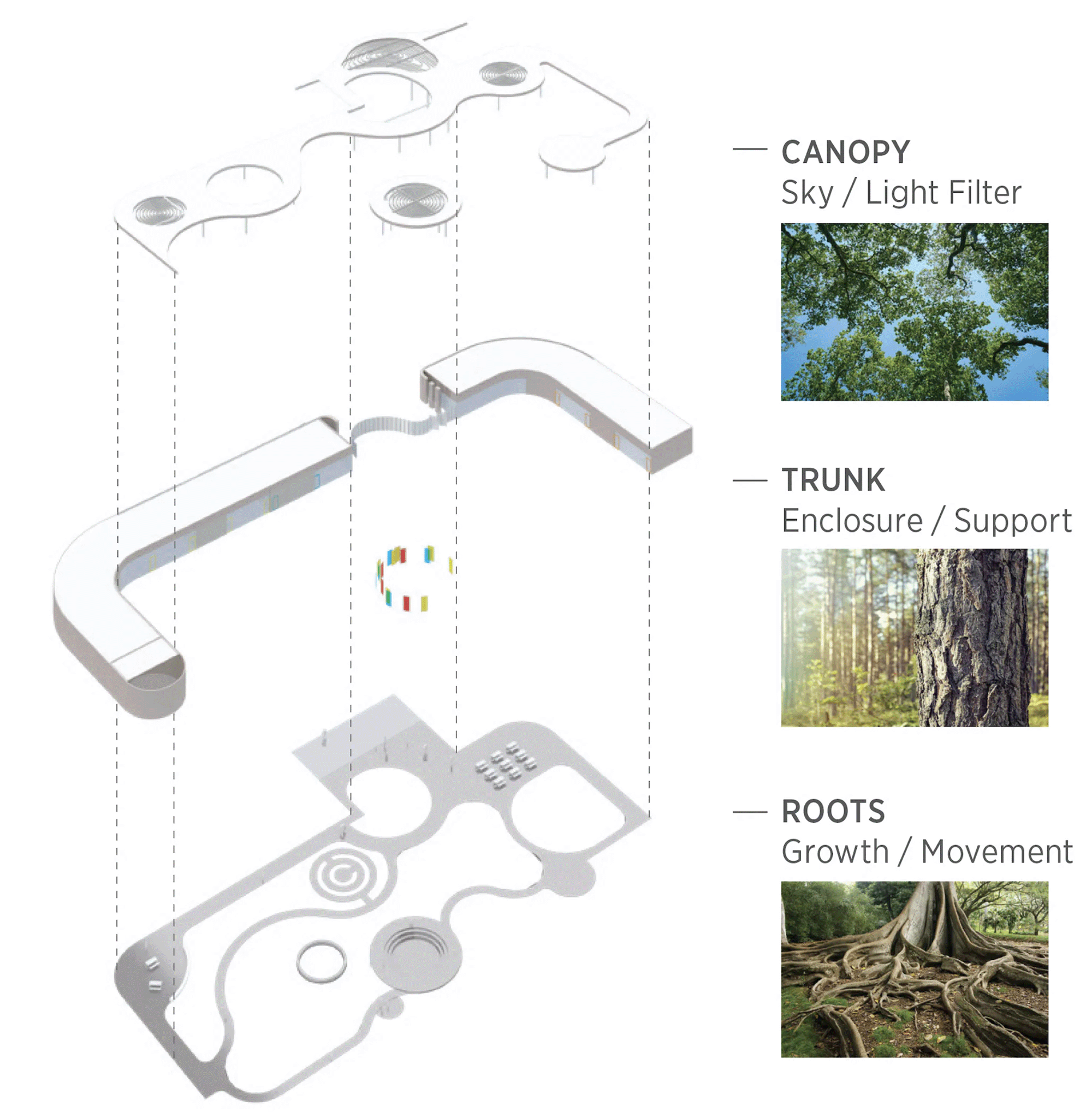 Split design of schoolgrounds surrounded by nature