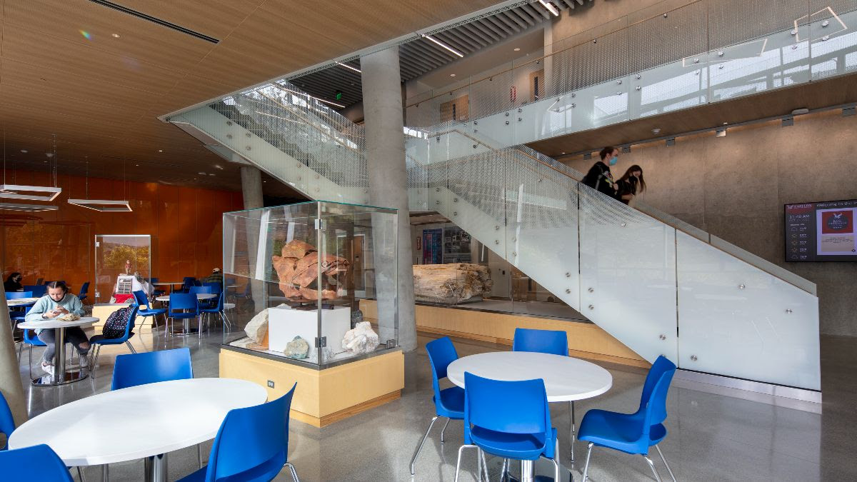 Interdisciplinary Science Center interior gathering space