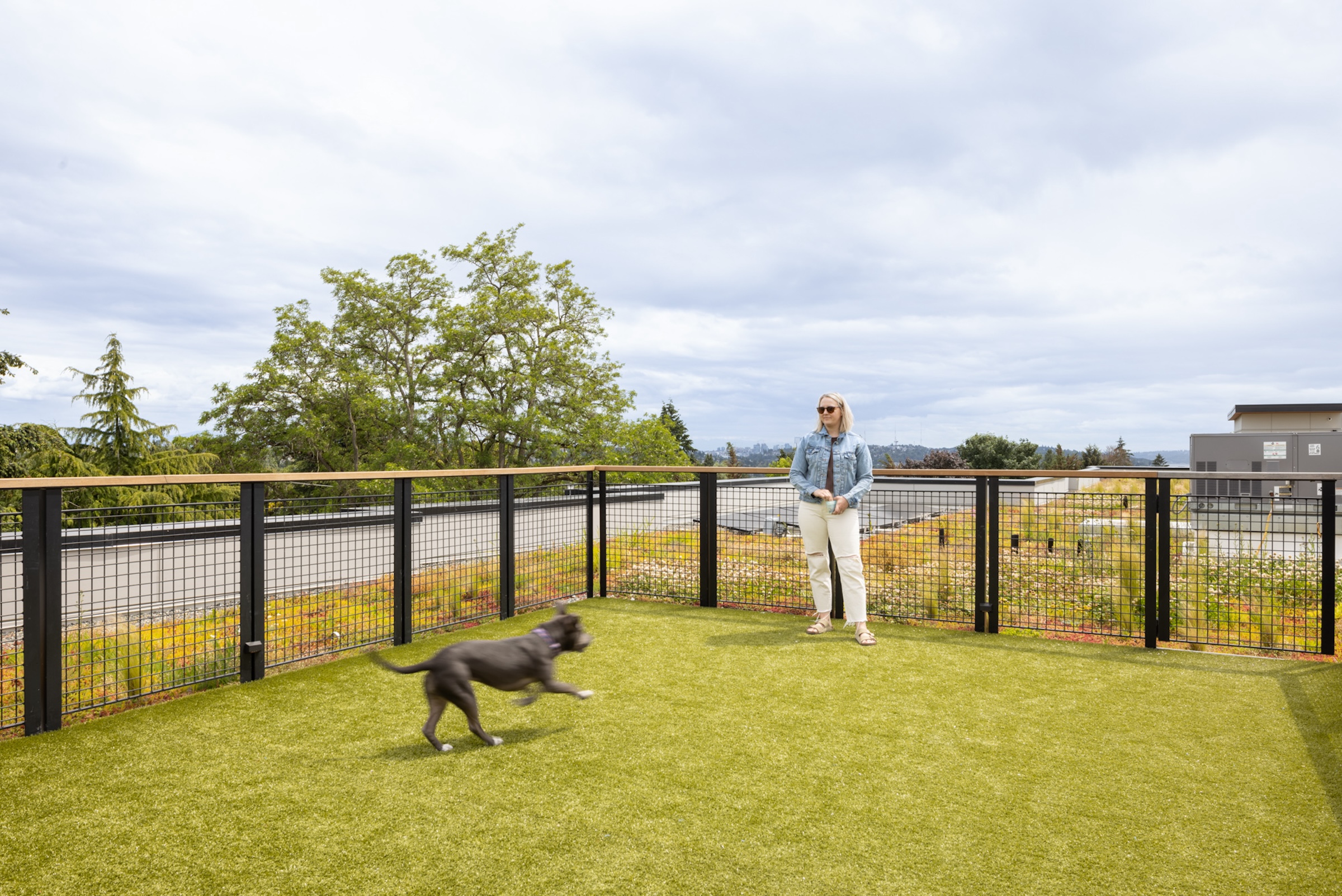 Seattle workforce housing project inspired by geology of eastern Washington Photo: Andrew Nam, ANAM Media