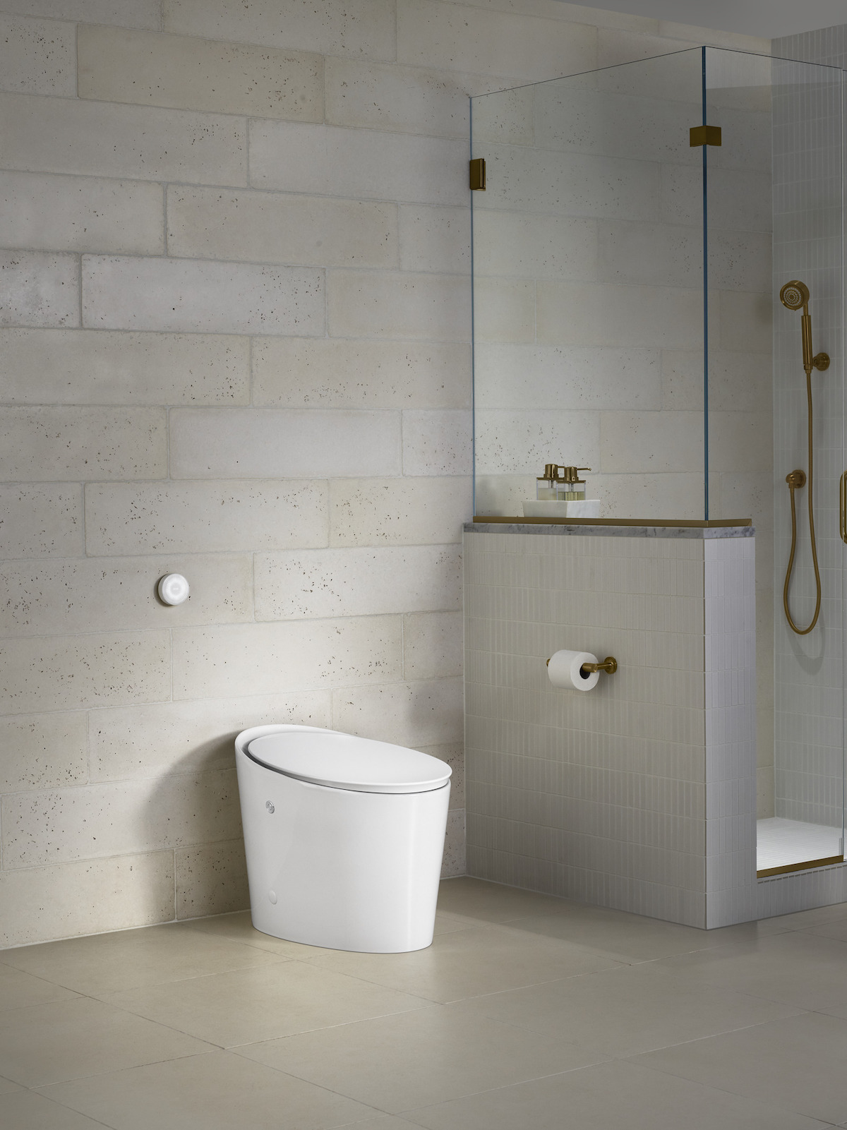 Avoir toilet from Kohler