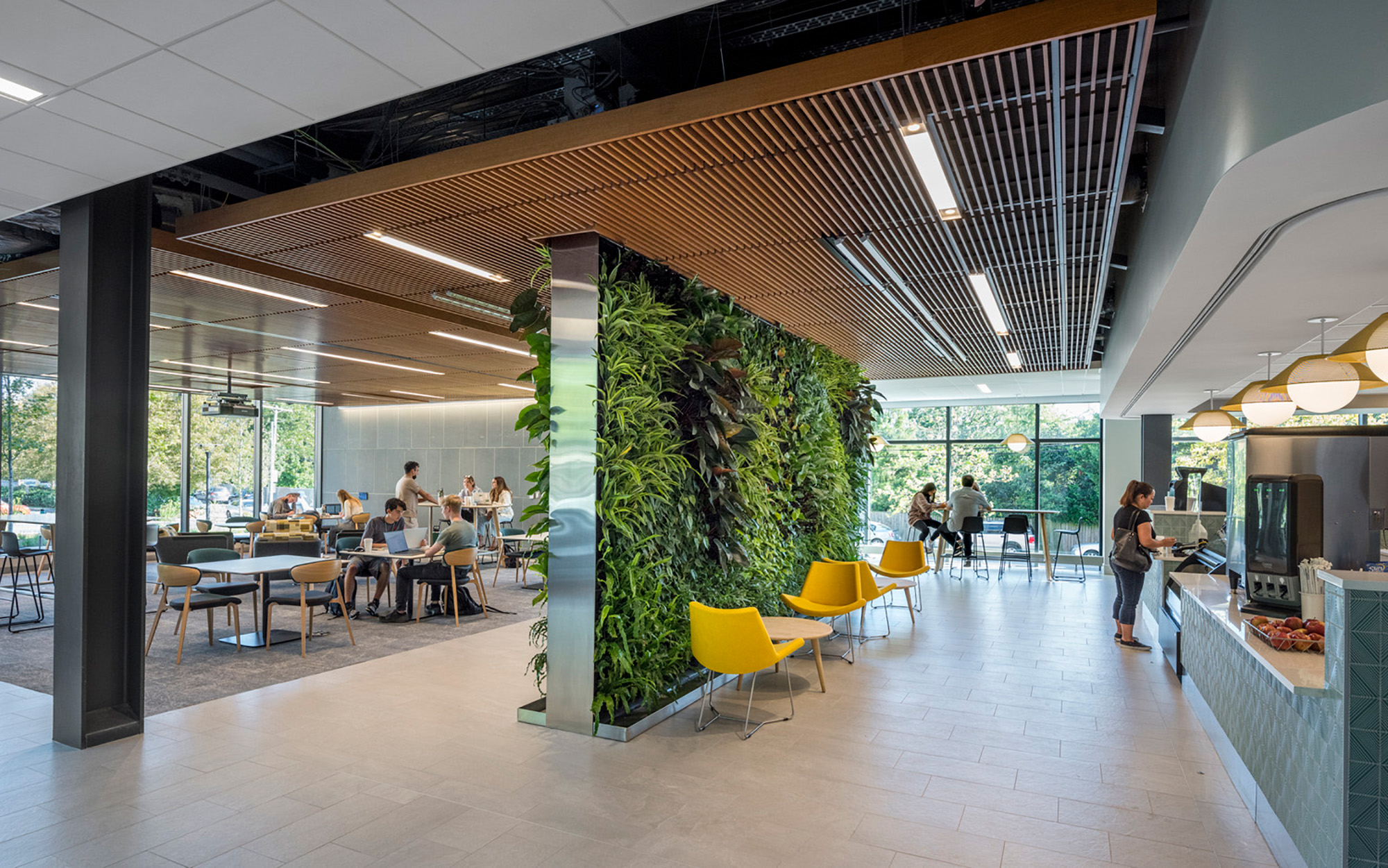 Healthcare green wall interior