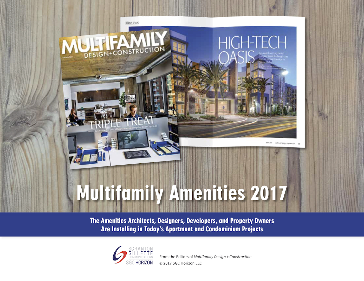 MFDC Amenities Survey 2017 FINAL (1).jpg