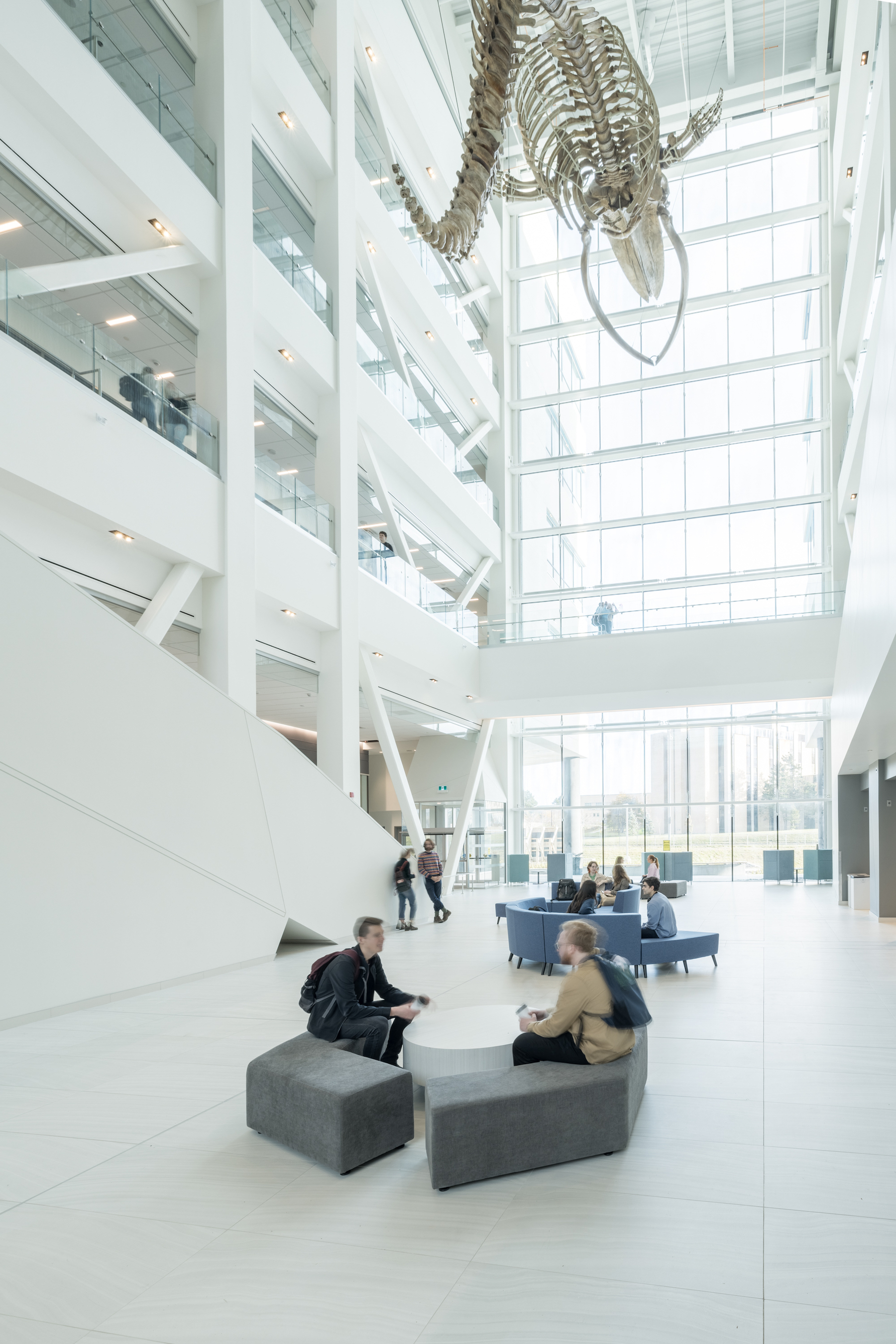 MUN STEM building lobby int