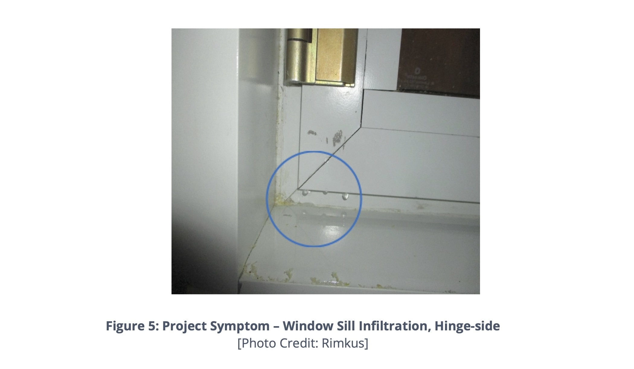 7 steps to investigating curtain wall leaks, Photo courtesy Rimkus