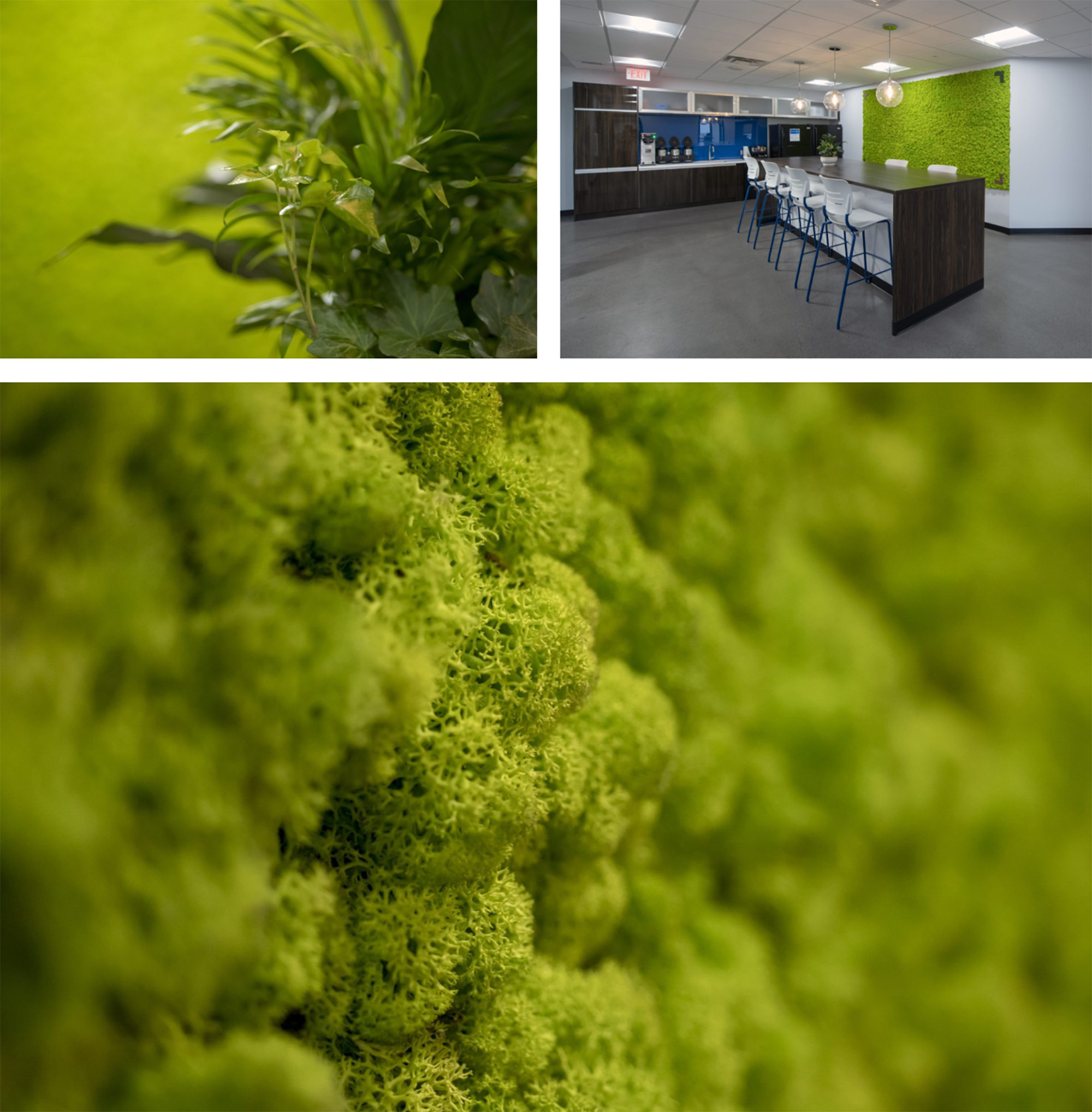 office biophilic design wall