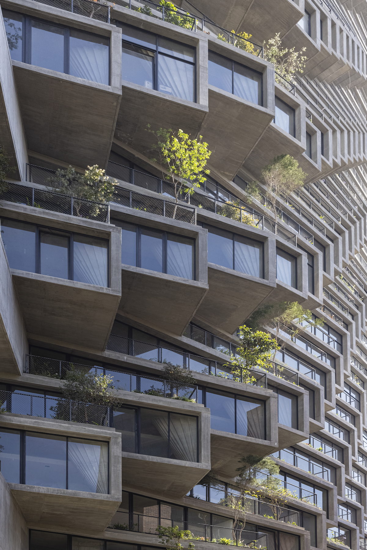 Trees planted in terraces at IQON