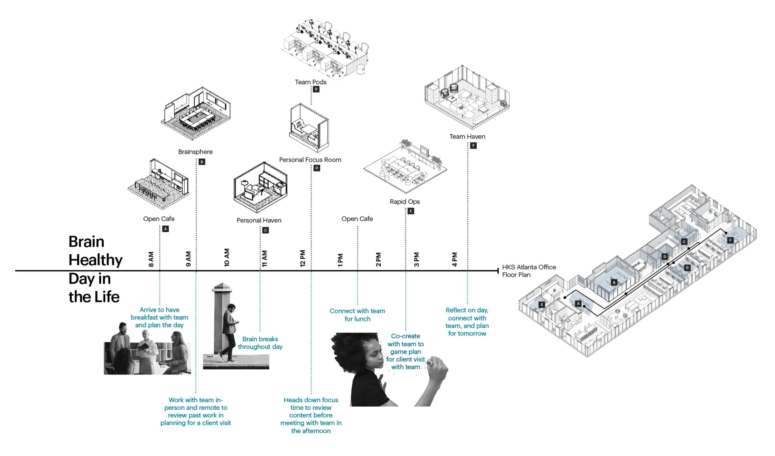 brain-health-web-graphics3bdc