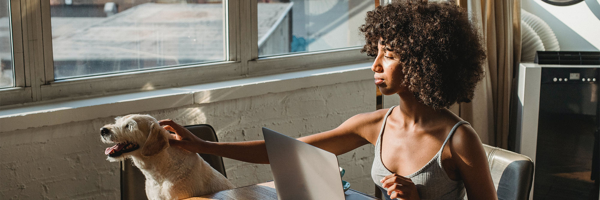 Woman using laptop near dog in room