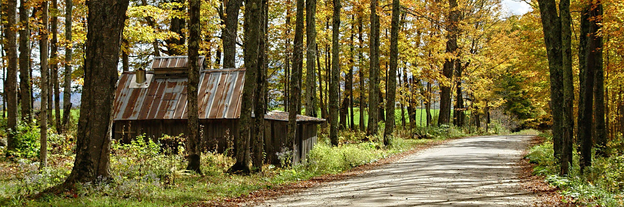 vermont cabin