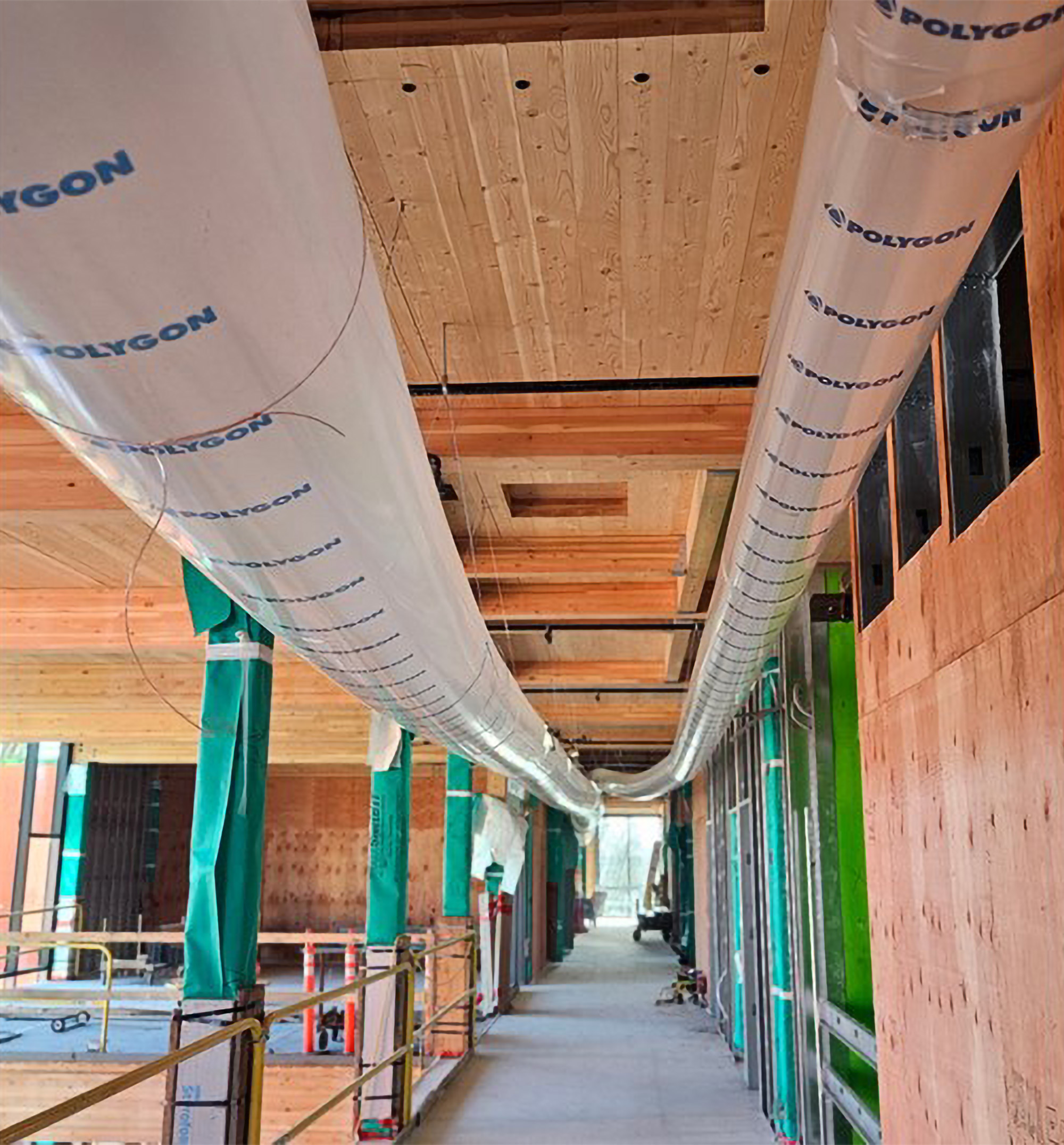 Water mitigation on mass timber project