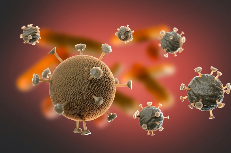 Coronavirus