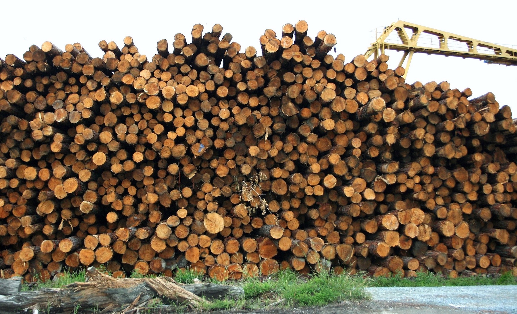 Lumber prices continue to recede as distribution channels open. 