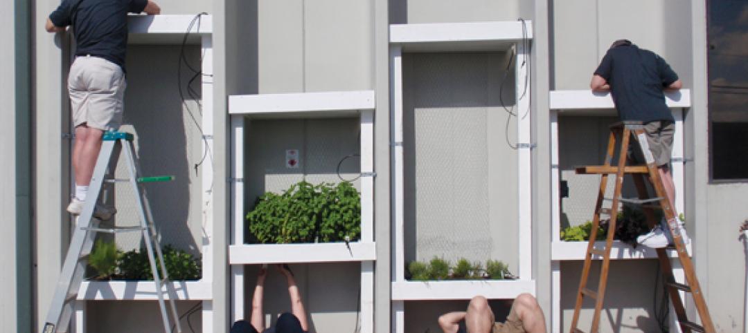 HMC volunteers install planters in a vertical garden wall at the Second Harvest 