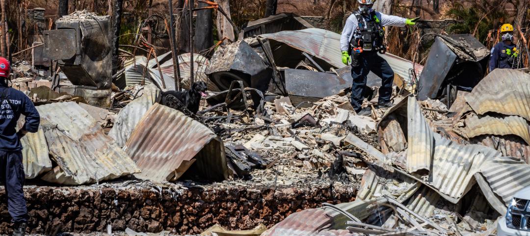 Modern codes, construction techniques saved structures in Maui wildfire - Photo: Army National Guard Staff Sgt. Matthew A. Foster, Department of Defense 